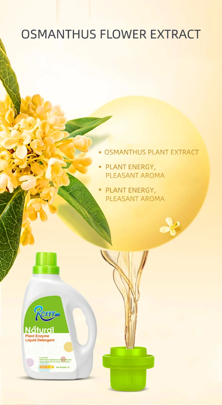 Wholesale Good Price  Household Natural Supple Deep Cleaning Plant Extract EnzymeClean Liquid Laundry Detergent Scented