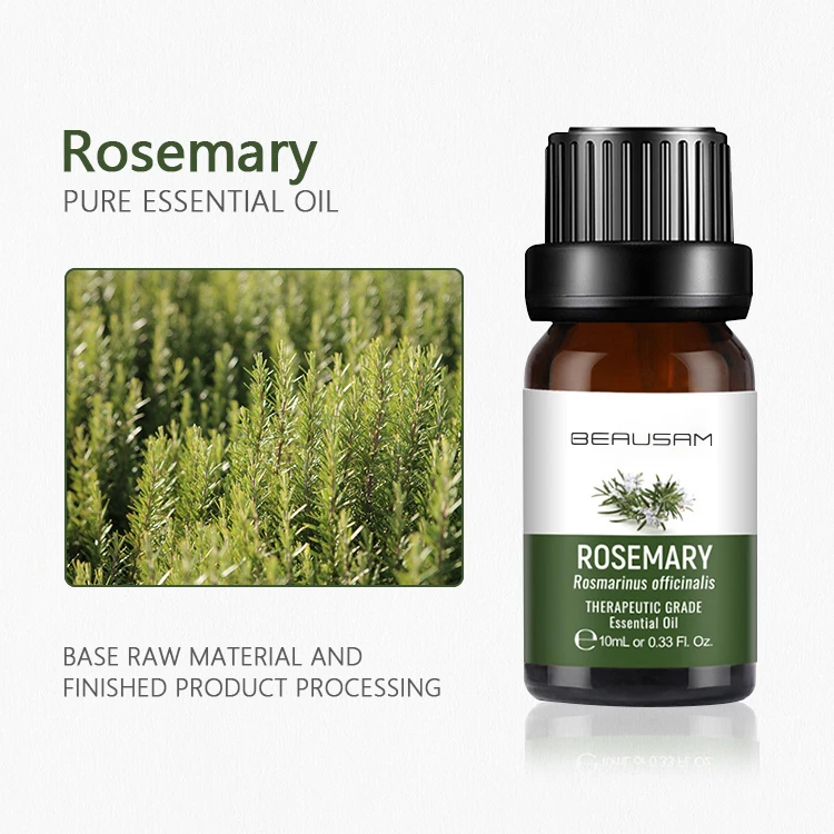 
Spot 10ml Natural Plant Aromatherapy Oil 100 % Pure Nature Body Massage Oil Rosemary Essential Oil 