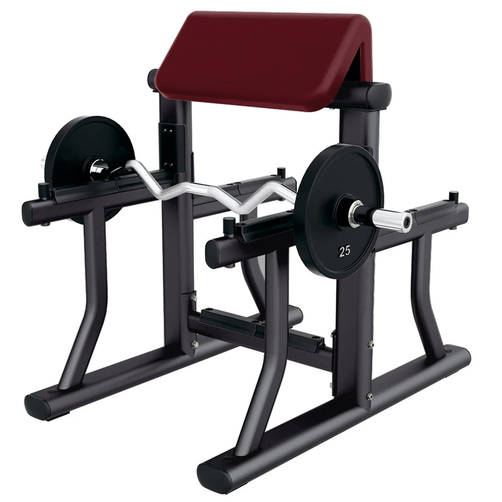 Factory price  commercial  sports equipment arm curl bench for sales