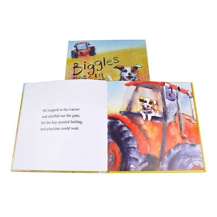 
China Printing Factory Custom Full Color Hardcover Children Book Printing 