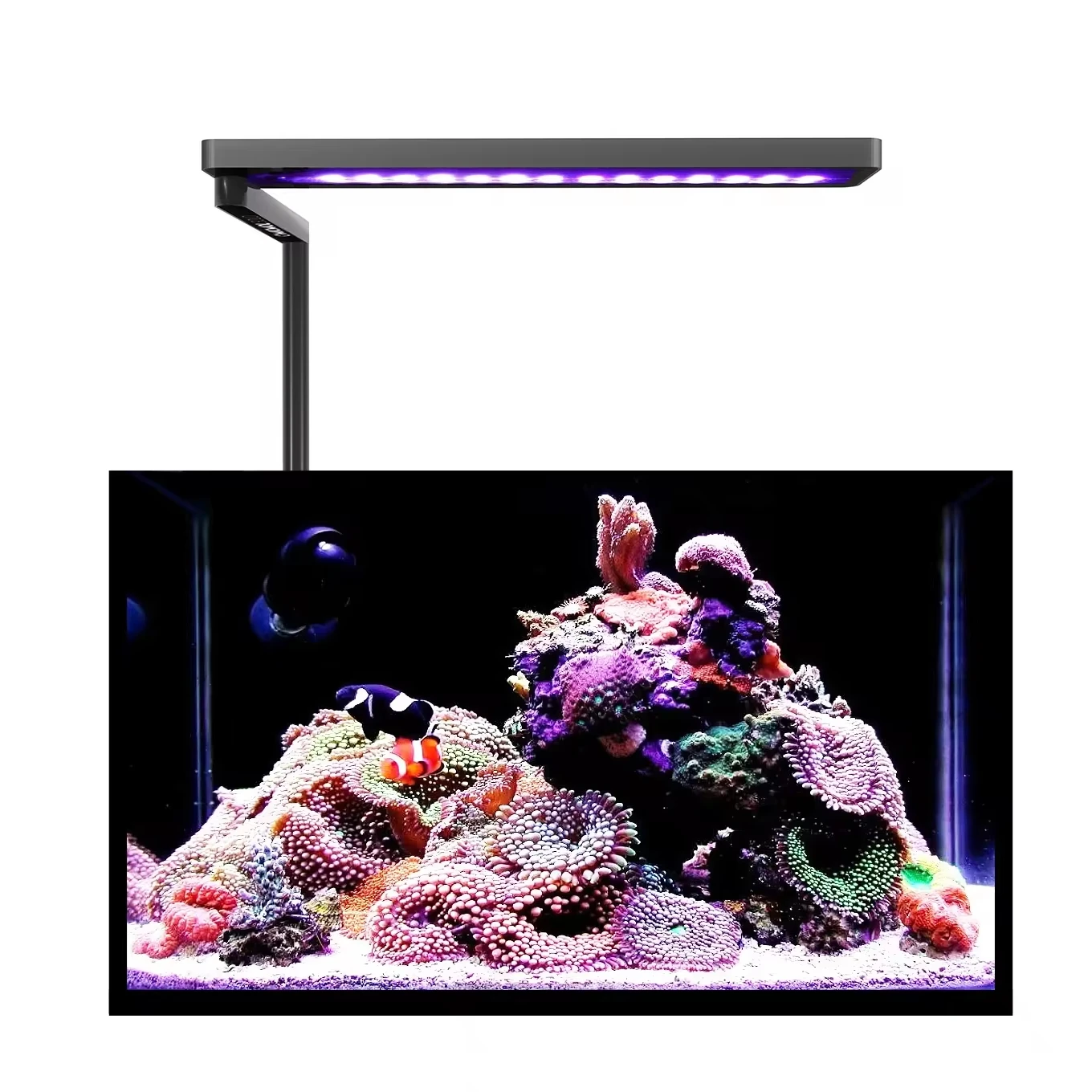 MicMol Saltwater Marine Spectrum Reef Light Solo 20 Watt for Mini Reef Coral Tank