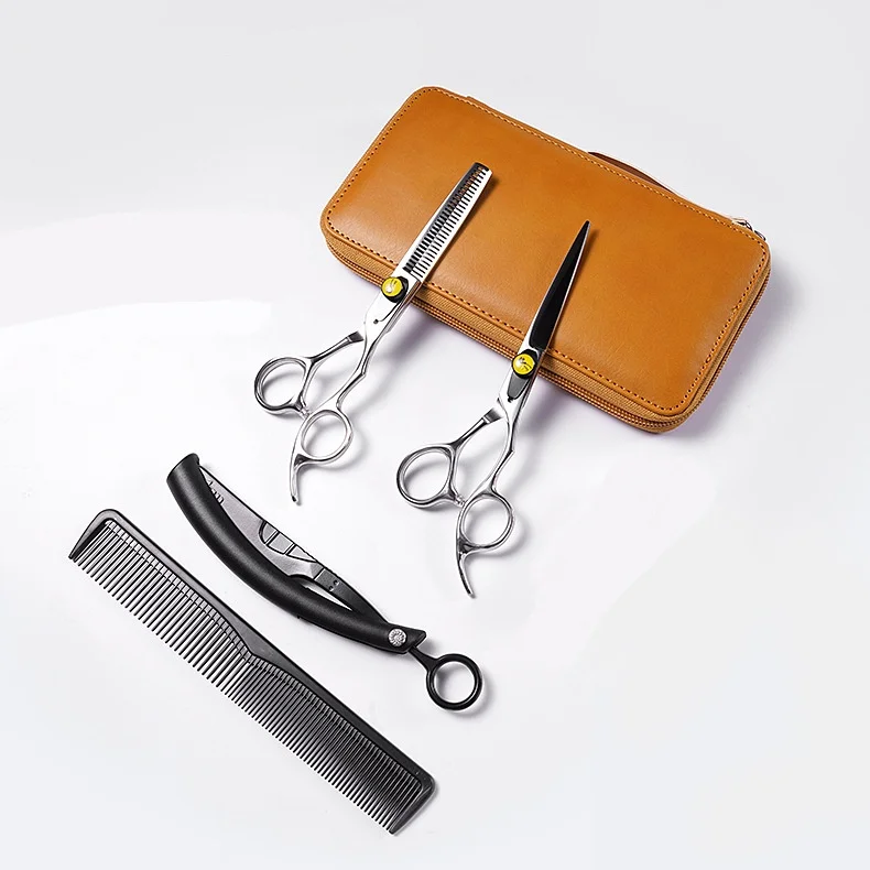 Professional Japanese S/S Hair Cutting Scissors Home Haircutting Barber/Salon Thinning Shears Kit Sliver with Comb and Case