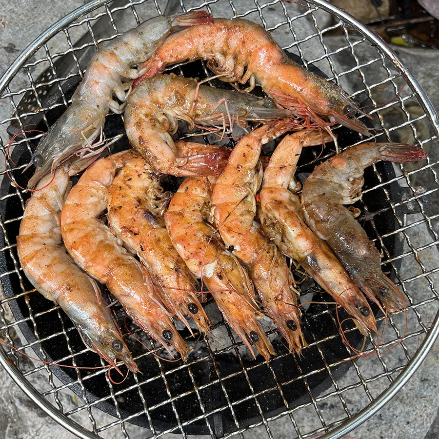 High quality barbecue net bbq grill net stainless steel for roasting meat