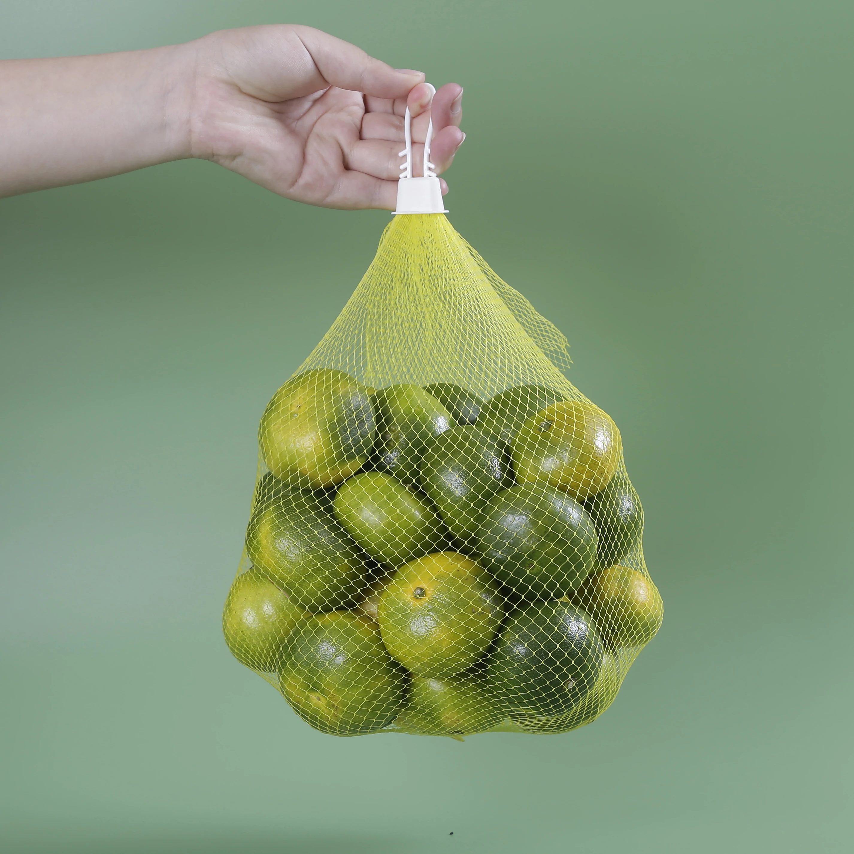 Hot selling extrud plastic net extruded plastic mesh Fruit and vegetable mesh bags