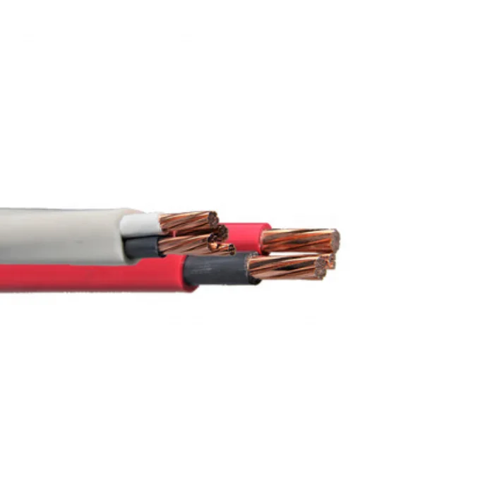 PVC Jacketed NMD90 Building Wire for Dry Locations 8AWG Cable Industry OEM Copper High Voltage Solid Insulated Blue/brown Cable