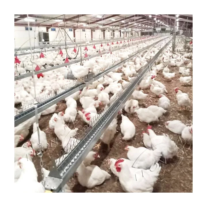 Cheap Price Automatic  Poultry Feeder Equipment For Breeder