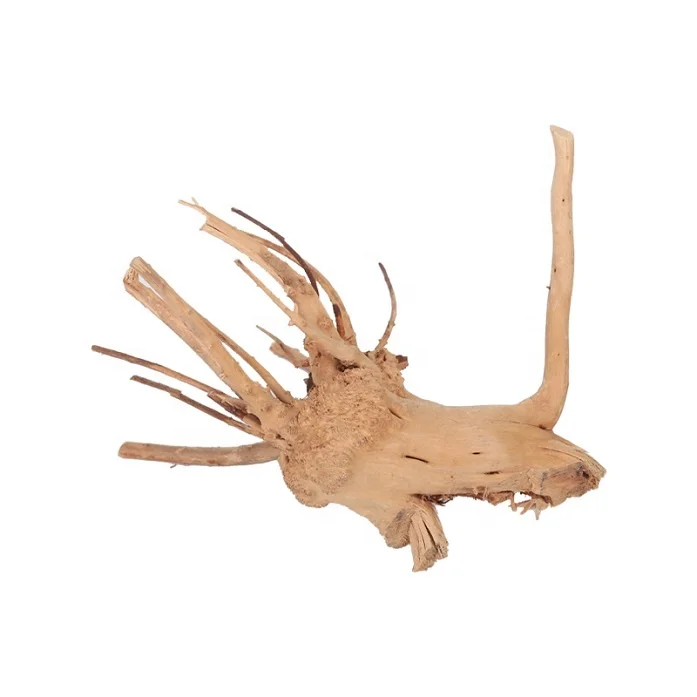 Aquarium Terrarium Landscaping Planted Tank Natural Spider Driftwood