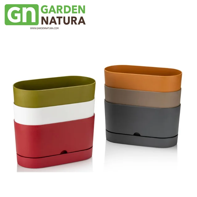 Fast Cargo-Plastic Flower Pot Begonya