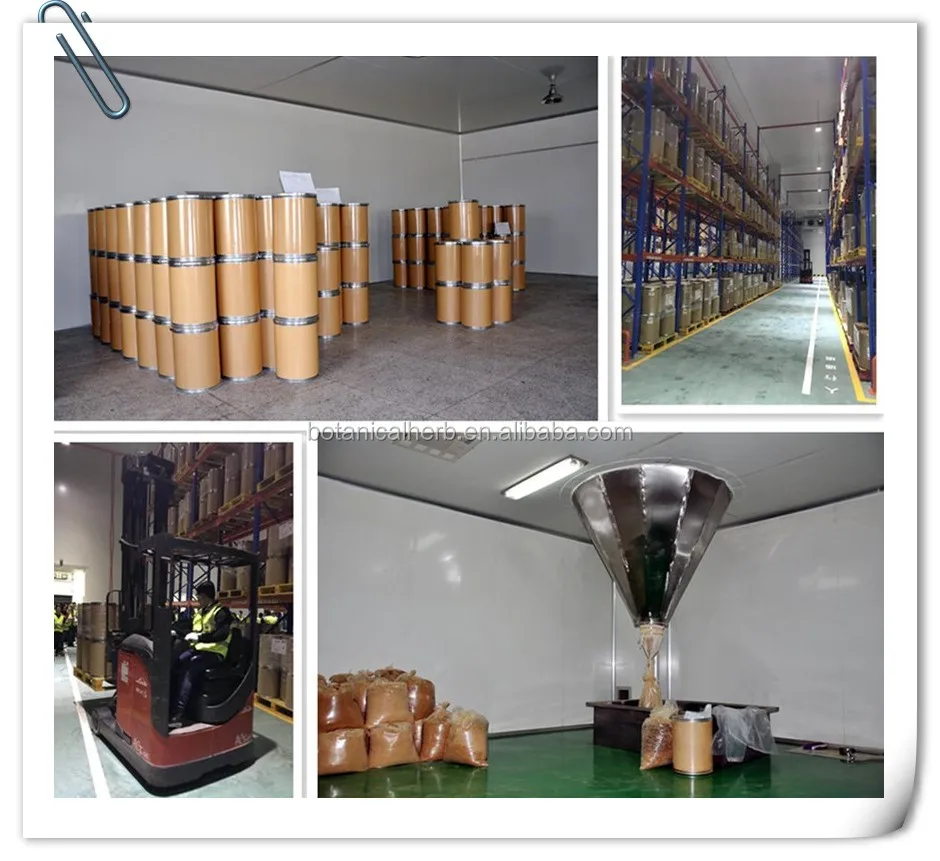 B.C.I Supply Yerba Mate Extract/Ilex Paraguariensis Leaf Extract With Low Price