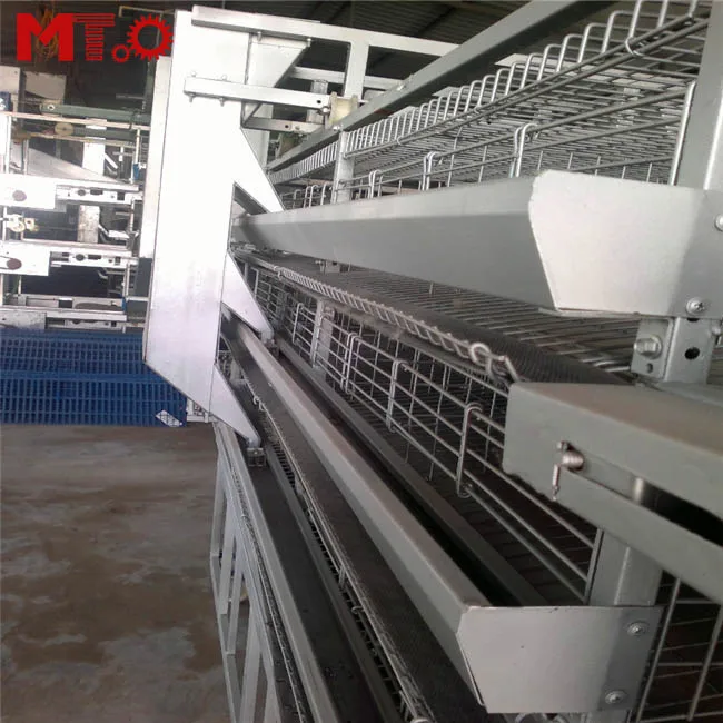Hot sell automatic egg collecting quail cage for quail farmers around the world