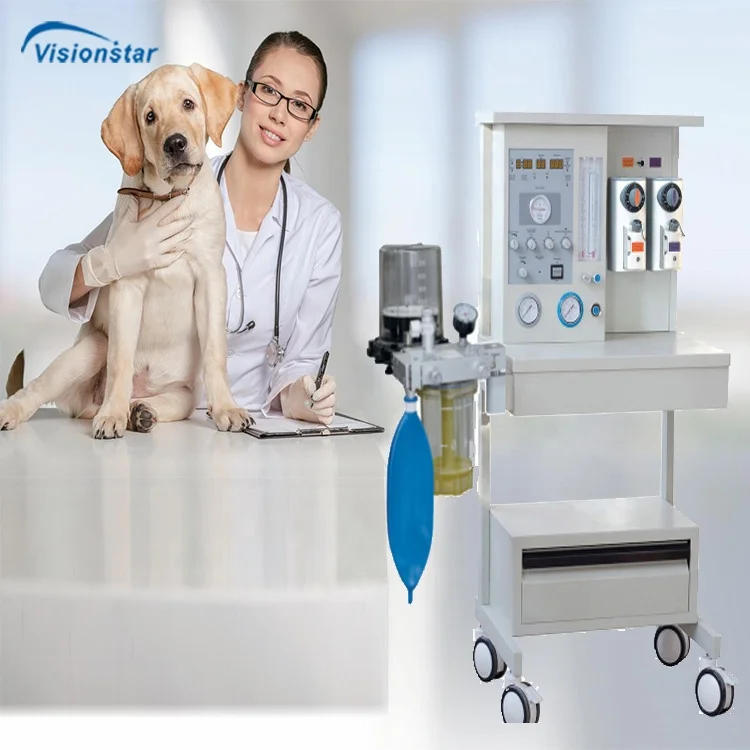 Medical Veterinary Anesthesia Device Animal Anesthesia Machine with Built-in Ventilator