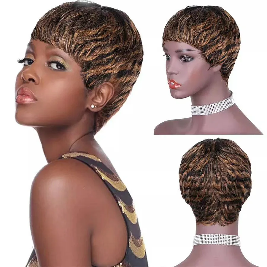 Cheap Wigs Short Length Natural Human Hair Different Colors No Lace Raw Indian Hair Wigs