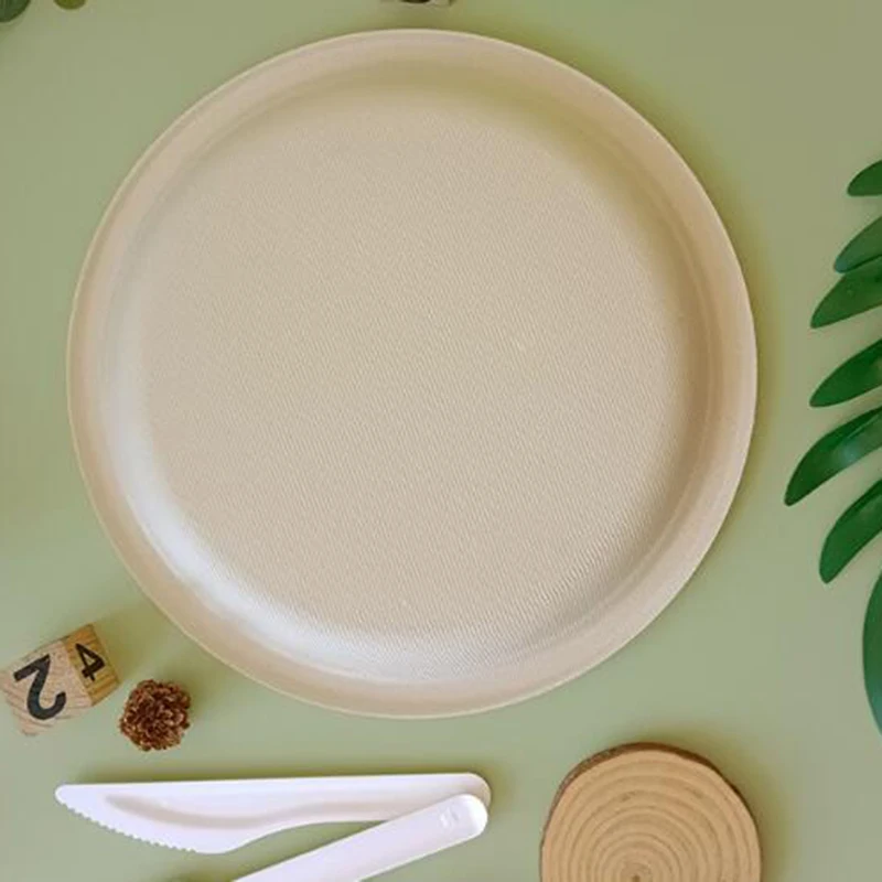 OEM ODM Eco Friendly Disposable Biodegradable Sugarcane Pulp Bagasse Sugar Cane Tableware 6 inch Food Round Plate