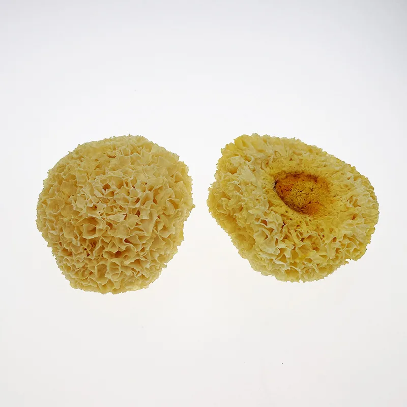 Natural Dried Tremella For White Fungus Soup