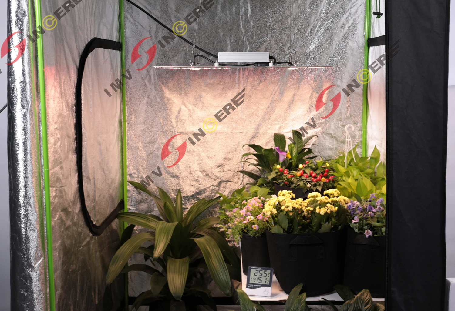 LED Grow Light 3200-3400K full spectrum quantum plate hydroponics 150W