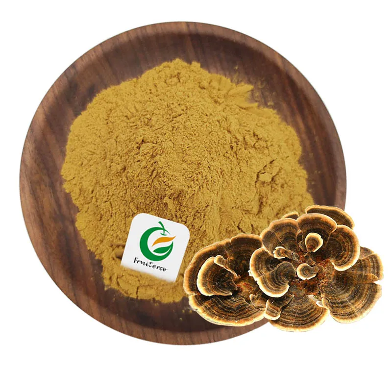 Private Label Natural Oganic Coriolus Versicolor Extract Powder Turkey Tail Mushroom Extract