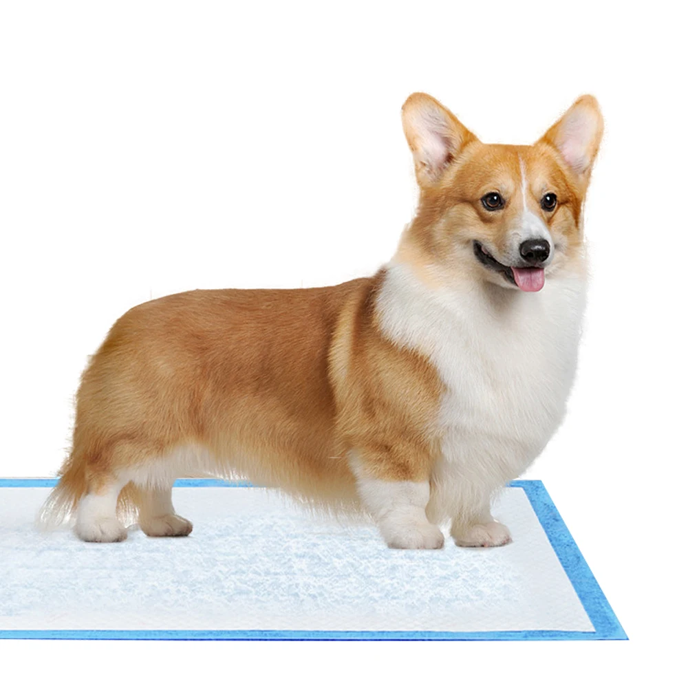 Hollee Hot Sale Customizable SAP Pet Training Pad Pee Pad for Dogs and Cats Non-Woven Fabric with Sustainable PE Materials