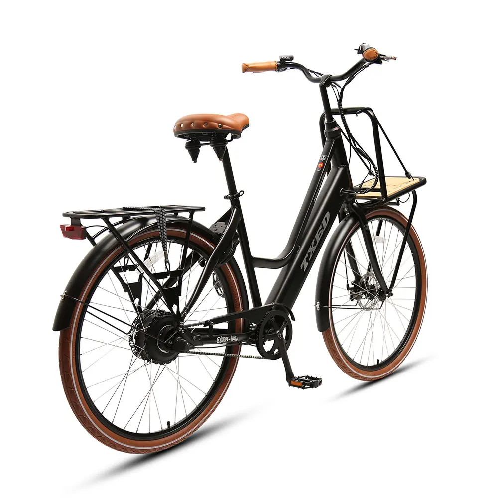 TXED 250W Rear Hub Motor inner 3-speed Electric Cargo Bike Matched With Belt Drive Electric City Bike