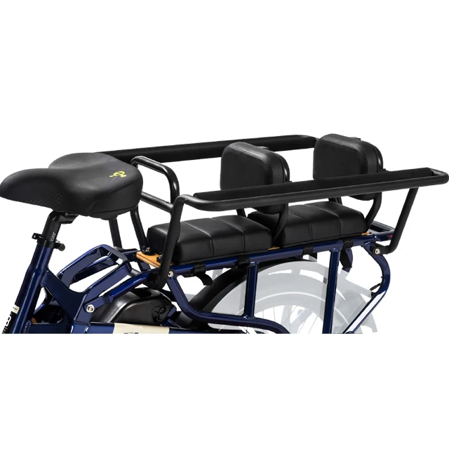 OEM New Arrival OEM customized double battery Cargo E Bike Fat Tire Long Tail Cargo Bike Electric