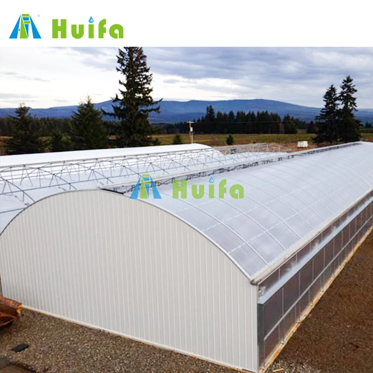 Industrial Greenhouse Hydroponic Greenhouse Tunnel Multi Span Blackout Greenhouse