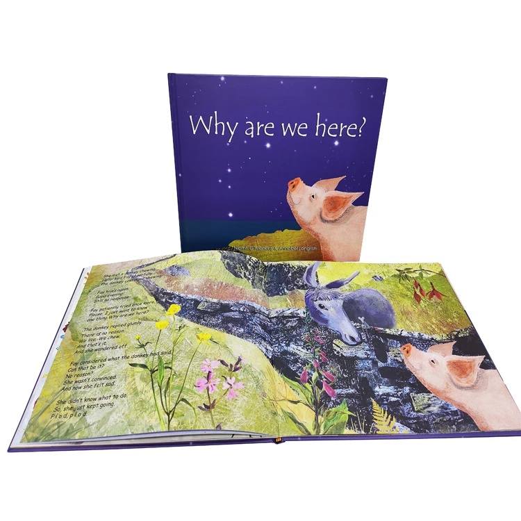 Hardcover Children Book Printing Custom Full Color Book Printing For Children Hardcover