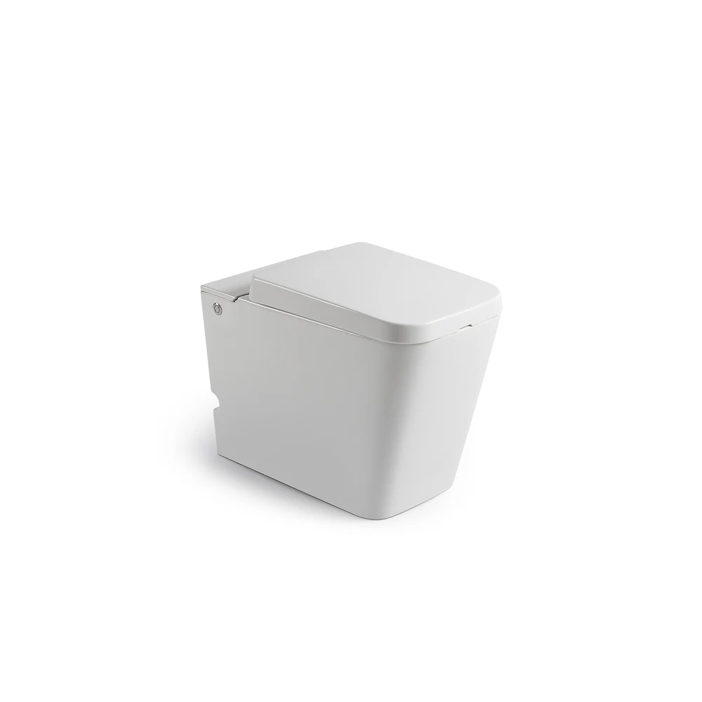 Chinese Supply Good Quality Sanitary Ware Bathroom Sanitary Siphonic One Piece WC Toilets Sets with Good Price