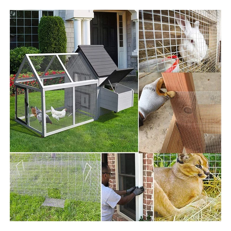 Factory Direct Sale High Quality rustproof 3*3cm welded mesh for welded chicken cage wire mesh