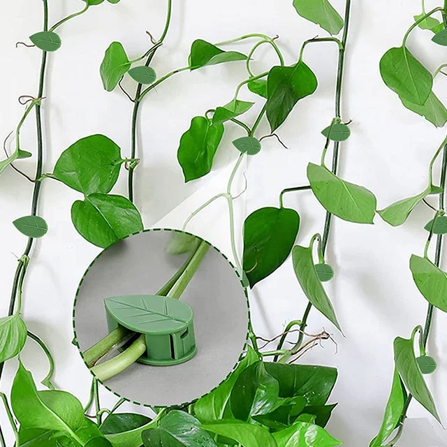 2022 New Garden Plastic Leaf Shape Plant Climbing Wall Support Clips