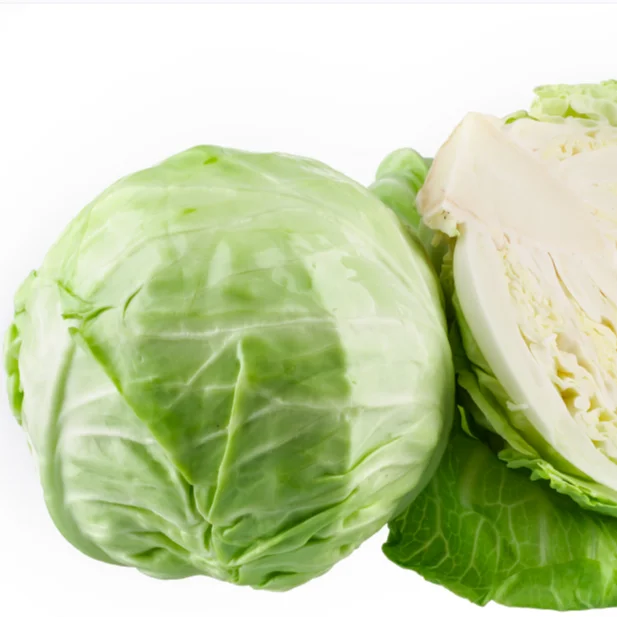 new crop Chinese/china fresh cabbage fresh vegetables good quality cabbage wholesale low price
