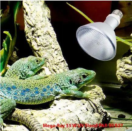 PAR30 38 35W 50W 70W 150W Full Spectrum light UVB UVA heat reptile lamp cute animal pet reptile tank terrarium Succulent Plant