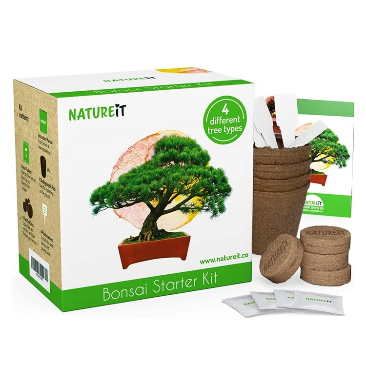 Bonsai Tree Starter Kit  All You Need to Grow 4 Bonsai Trees from complete garden starter kit