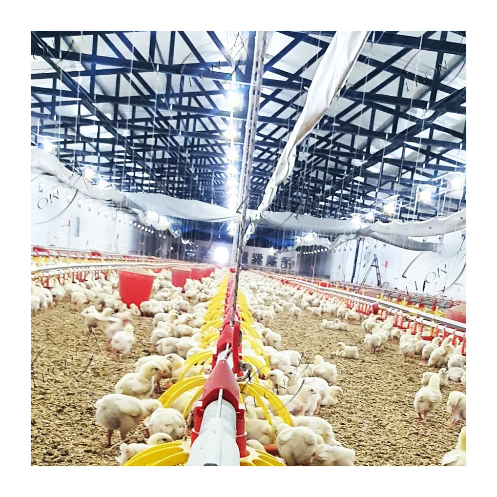 Animal husbandry broiler equipment farm with prices