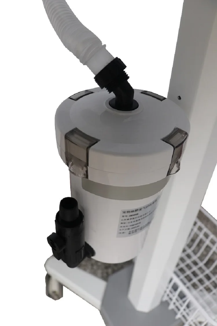 hot sale manufacturer supply animal hospital anesthsia machine