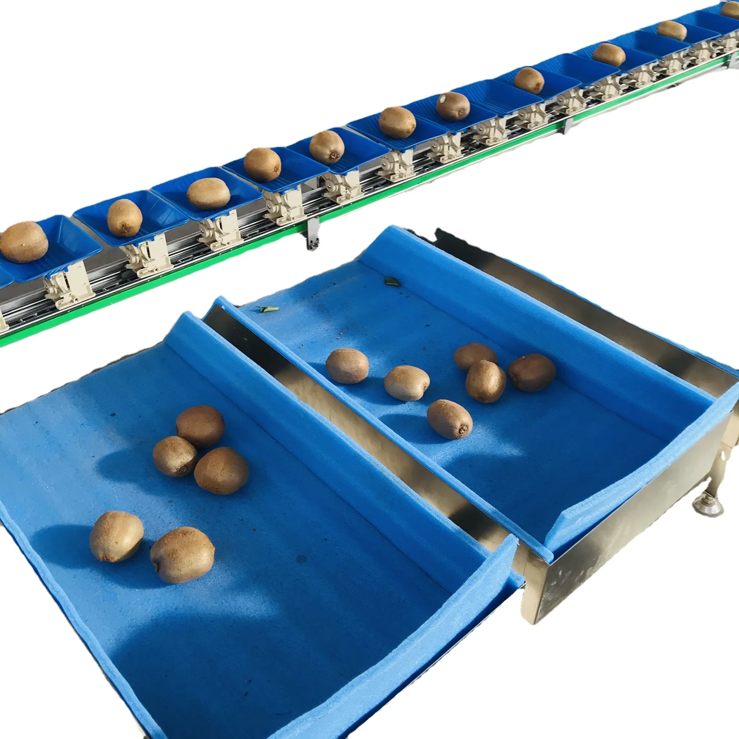 Electronic PLC Onion Apple Orange Fruit Weight Sorting Grading Machine