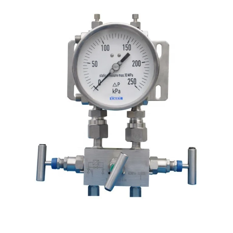Deft manufacture bottom connection differential pressure gauge