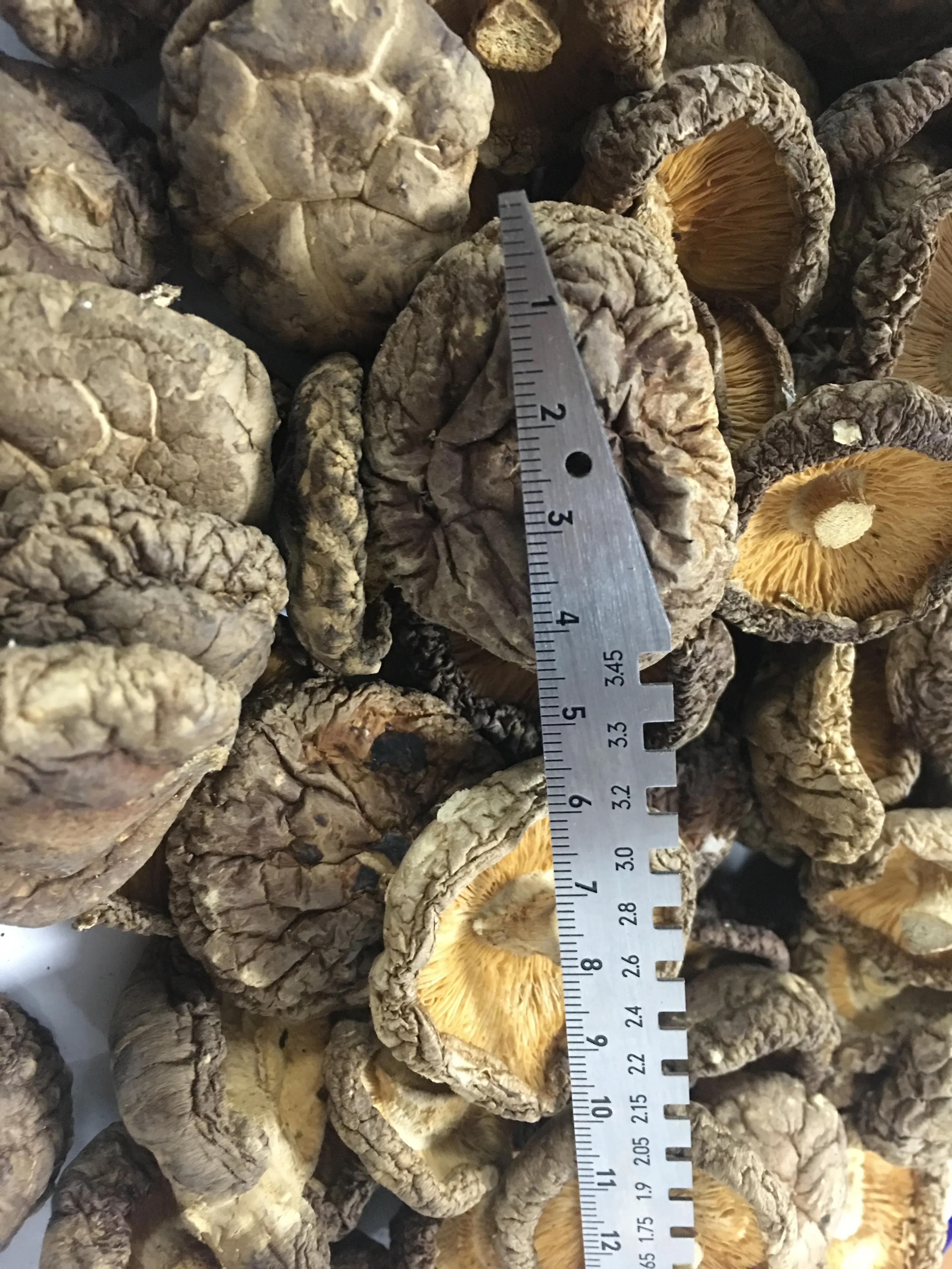 Healthy  Organic dried shiitake mushrooms factory price whole slice 1kg Lentinus edodes