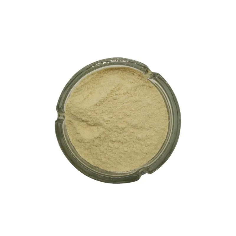 High Quality Color Protection Agent CAS 299-29-6 Food Grade 10% BP Iron Ferrous Gluconate