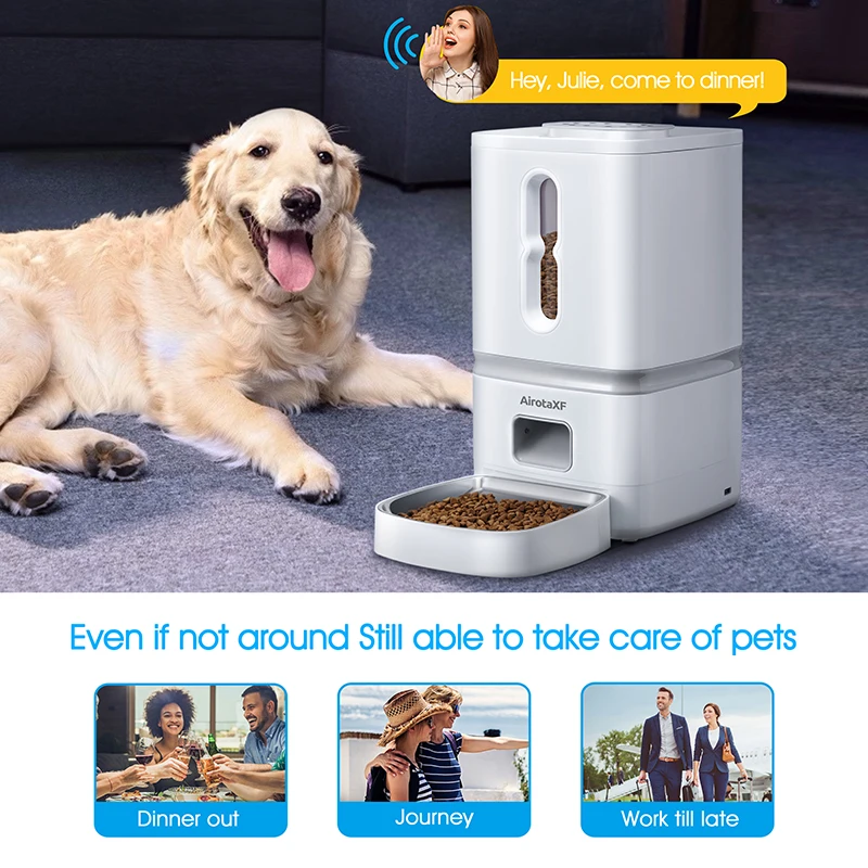 Large Auto Cat dog Smart Pet Dispenser Automatic Pets Feeder