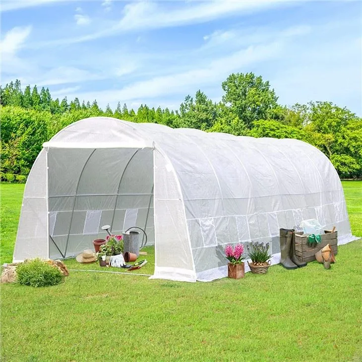 6x3x2 cm Winter Season Portable poly tunnel Greenhouse galvanized Steel Frame Agricultural greenhouse
