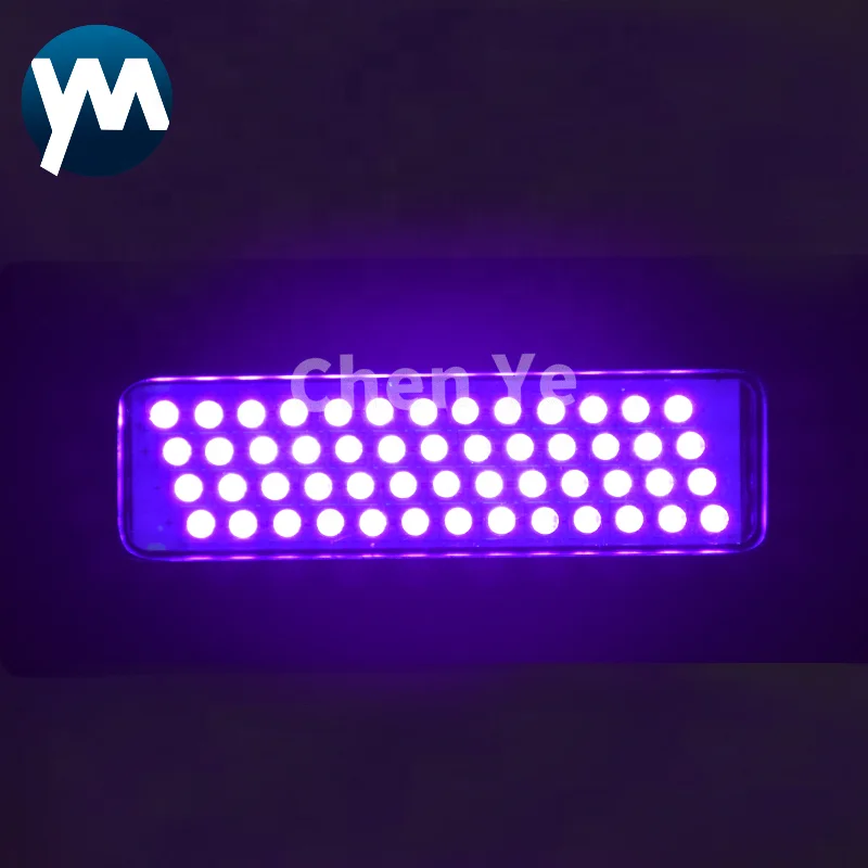 Factory Customized 150W Water Cooled 365nm UV Curing Lamp for Printing Machine