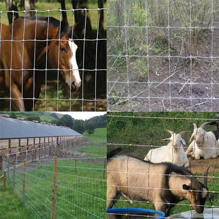 cattl wire mesh fence.jpg