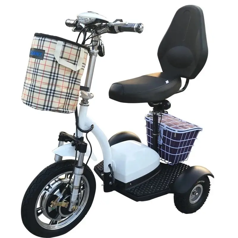 zappy tricycle_2.jpg