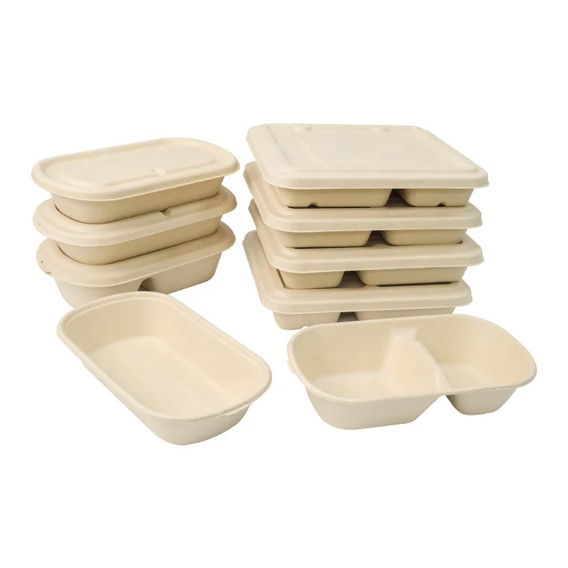 Eco Friendly Takeaway Fruit Meat Cake Food Tray Sugarcane Bagasse Lunch Box With Lid Biodegradable Bagasse Tray