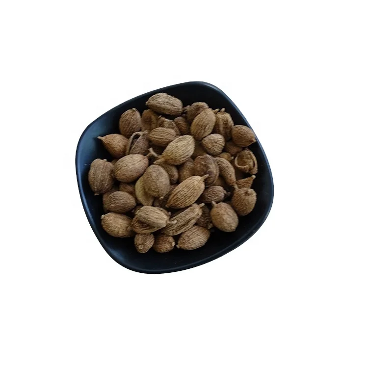 
Factory direct wholesale organic Amomum villosum can be sold in bulk 
