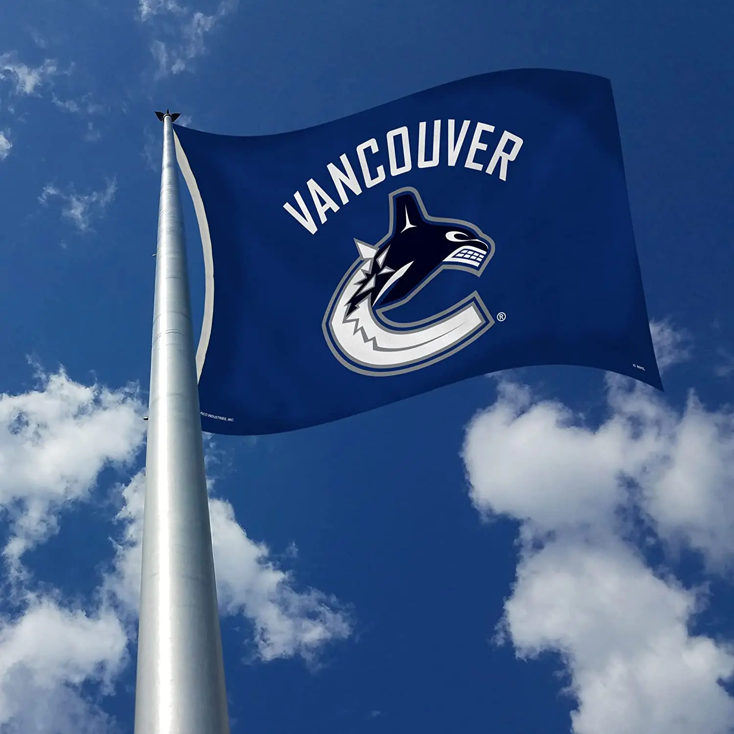 NHL Promotional Product Vancouver Canucks flags 3x5ft 100%Polyester hockey custom Vancouver Canucks flags