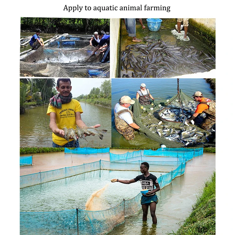 broiler chicken weight gain for nutrition feed additive