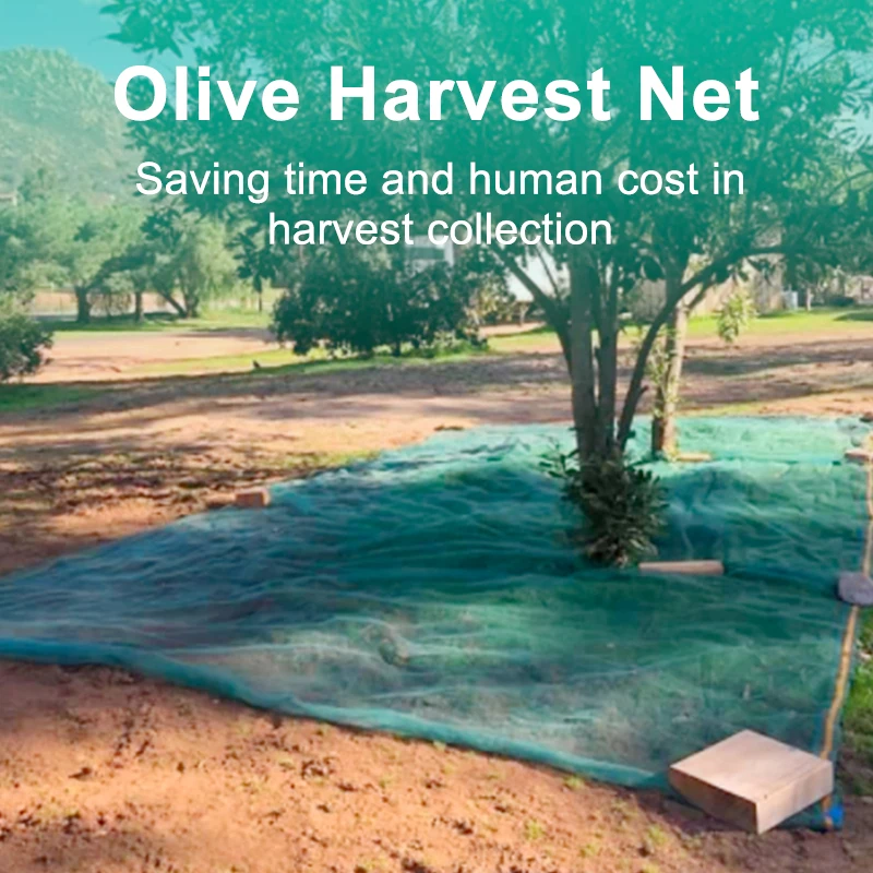 20 years Manufacturer olive tree collect netting harvest net falling fruit harvesting nets
