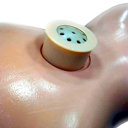 Music box mechanism OEM High grade adult toys voice recorder sound chip