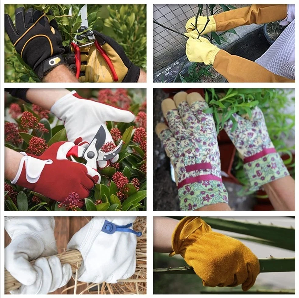 Heavy Duty Leather durable thornproof good dexterity rose pruning cacti handling thorn proof gardening cactus gloves