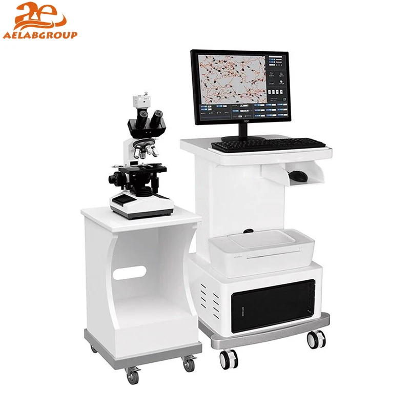AEALB Sperm Quality Analyzer Automatic Human Sperm Analyzer Instrument